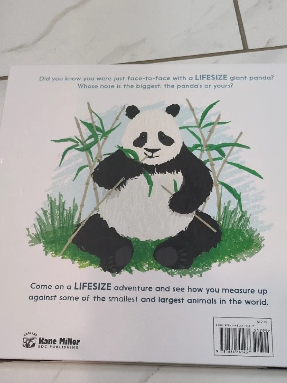 Life-size children's Book- Kane Miller